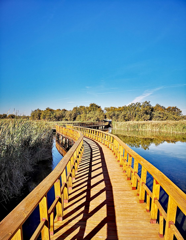 Medioambiente y calidad imagen de embarcadero de las tablas de Daimiel